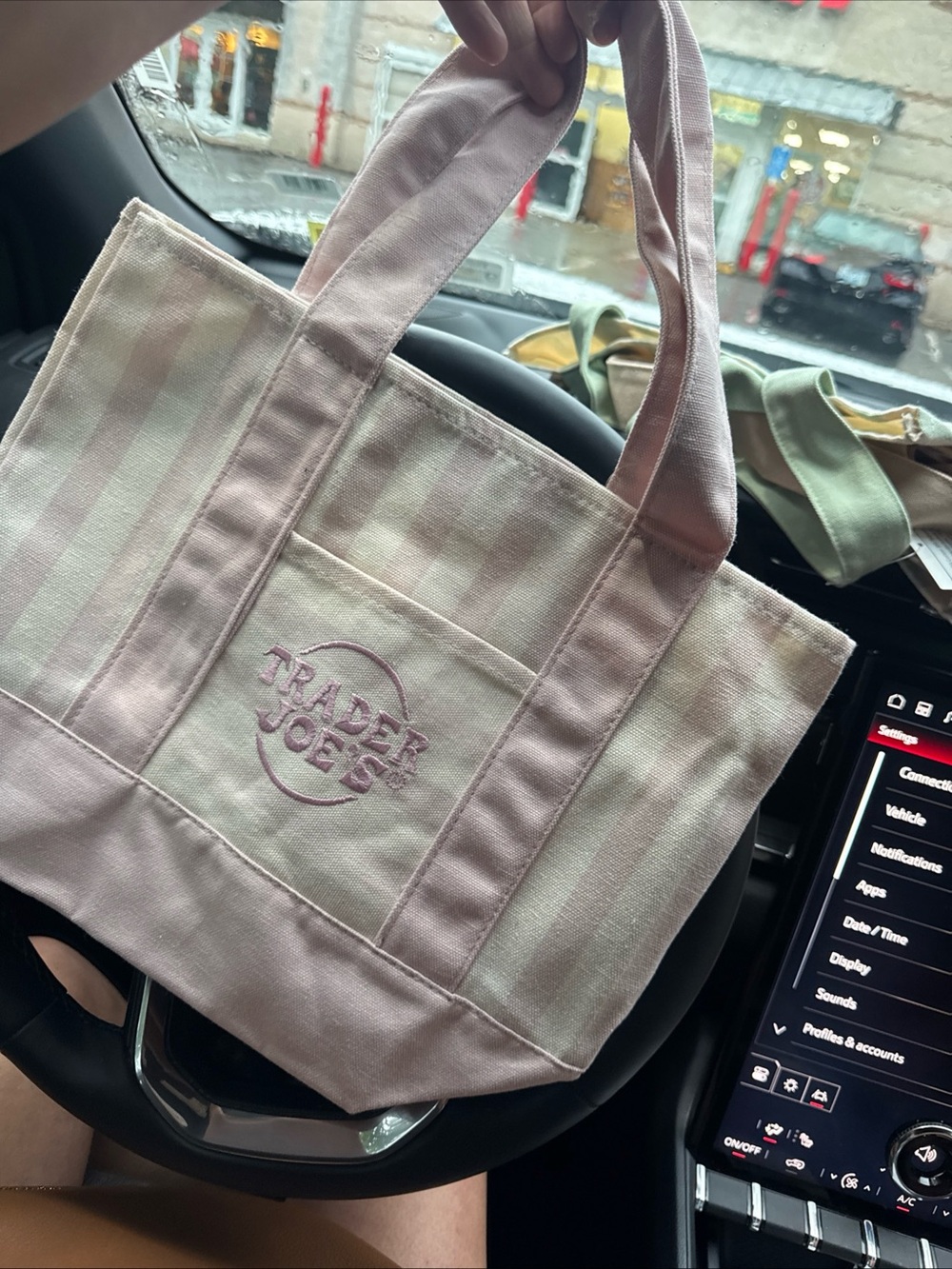 Trader Joe's Pink Striped Mini Tote Bag - Picture 3 of 3